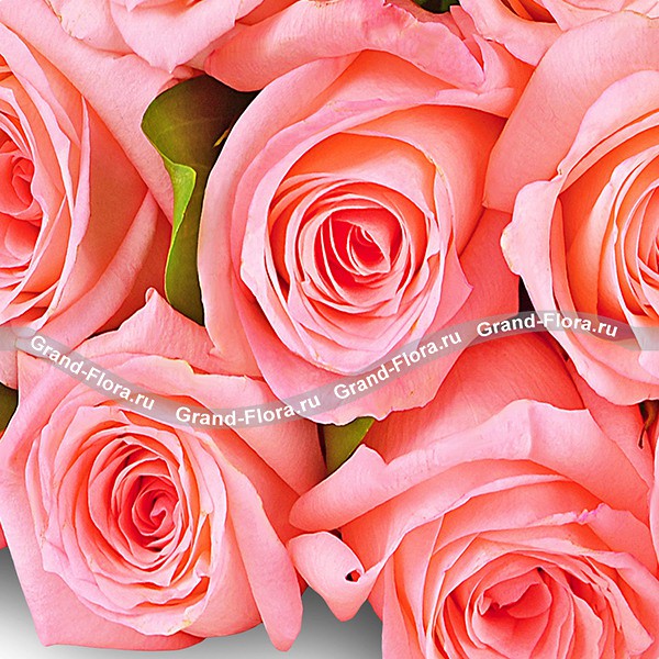 Высокие розовые розы (70 см)